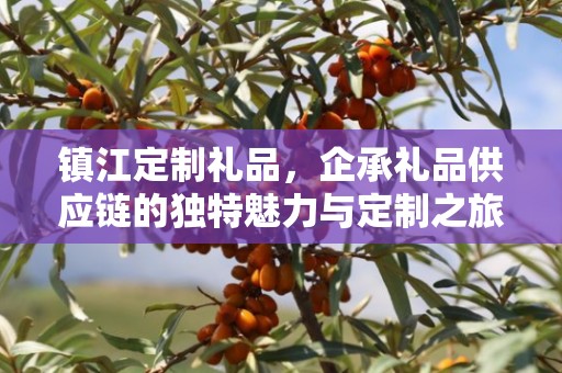 镇江定制礼品，企承礼品供应链的独特魅力与定制之旅