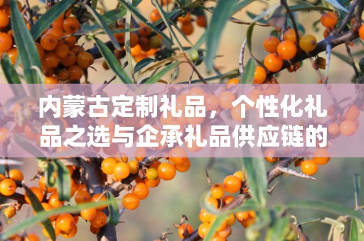 内蒙古定制礼品，个性化礼品之选与企承礼品供应链的优势